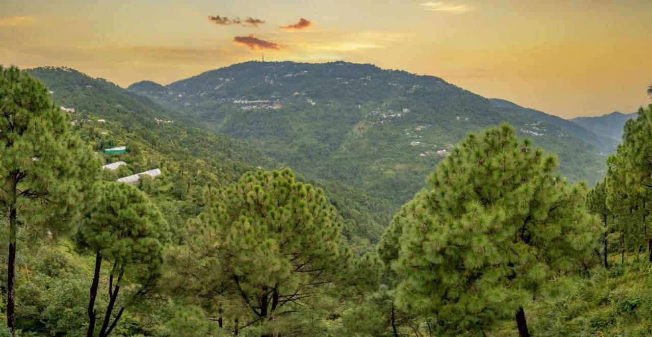 The Western Heights I Serviced Apartments I Pvt Balcony I Lift I Peacefull Area I Family Accomodation I Kasauli I By Exotic Stays 외부 사진