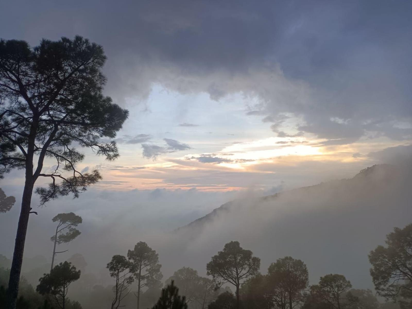 The Western Heights I Serviced Apartments I Pvt Balcony I Lift I Peacefull Area I Family Accomodation I Kasauli I By Exotic Stays 외부 사진